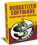 Budgetizer Software
